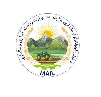 Mail