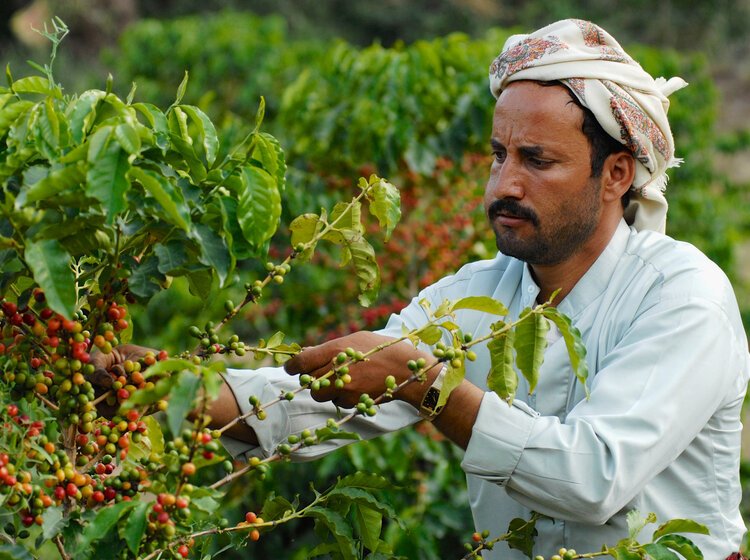 Agriculture&#x20;and&#x20;Food&#x20;Security