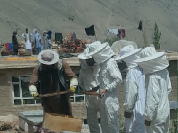 Imagen de cabecera 1