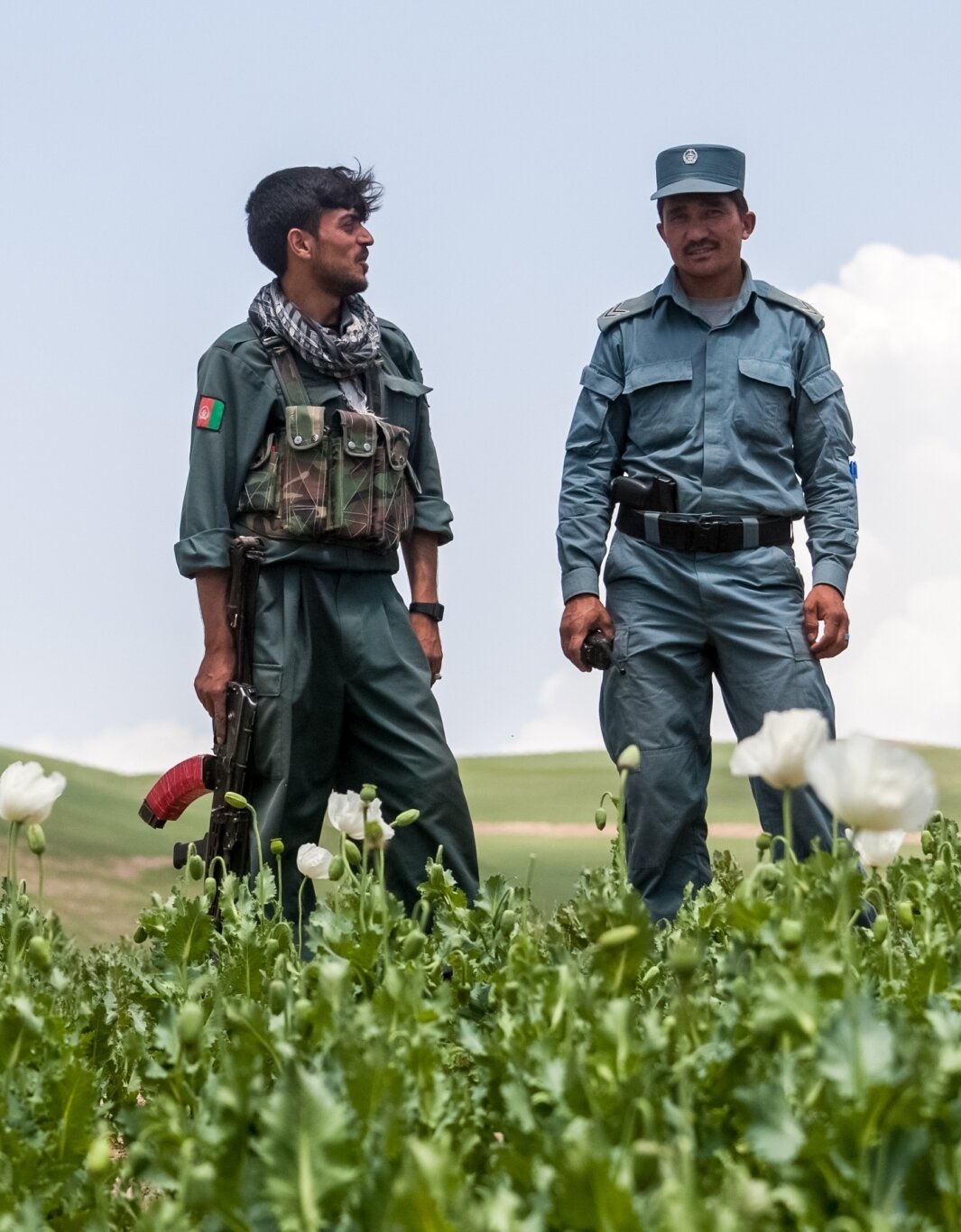 Law-and-Order&#x20;Trust&#x20;Fund&#x20;for&#x20;Afghanistan